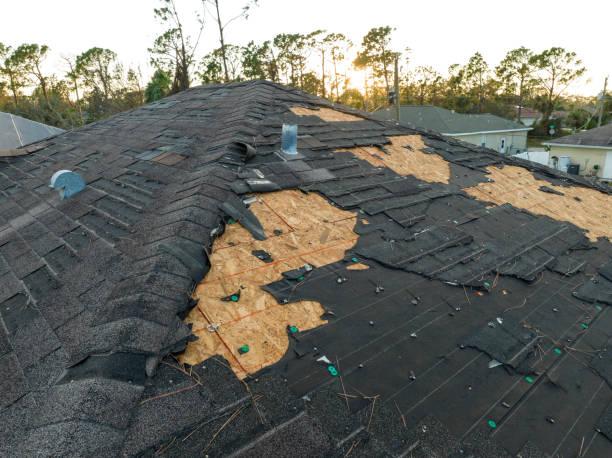 Best Roof Moss and Algae Removal  in Westhampton Beach, NY